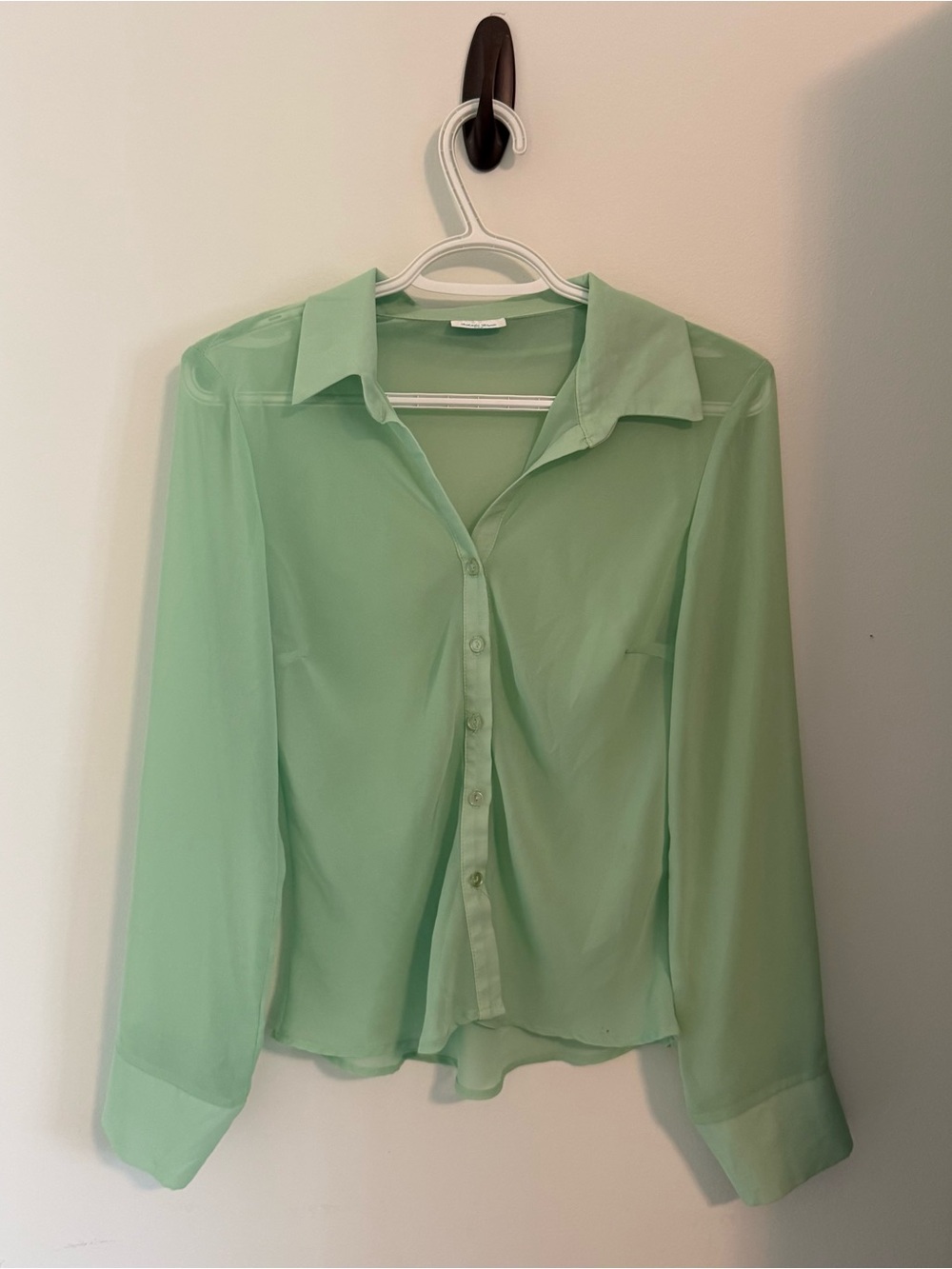 Sheer Mint Green Button-Down Blouse